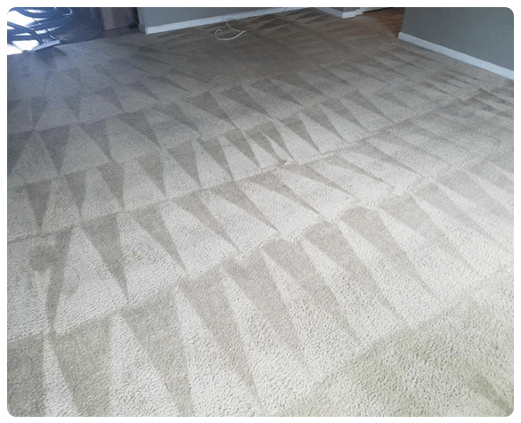 Best Carpet Cleaning Inglewood